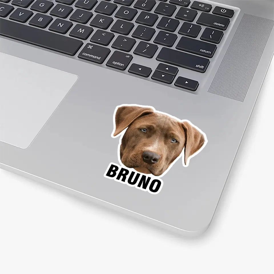 Doggovinci Personalized Pet Stickers