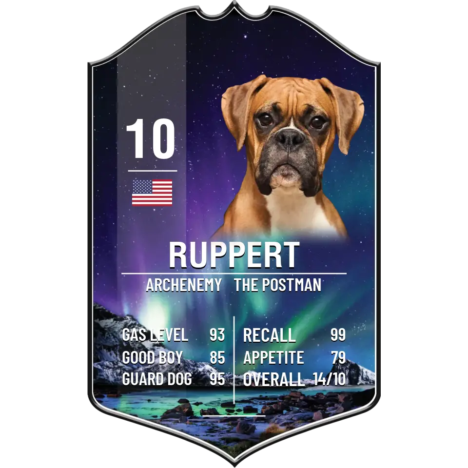Pet Sport Card Plaque