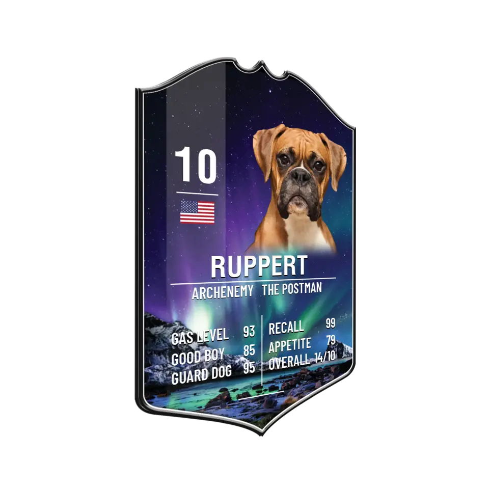 Pet Sport Card Plaque