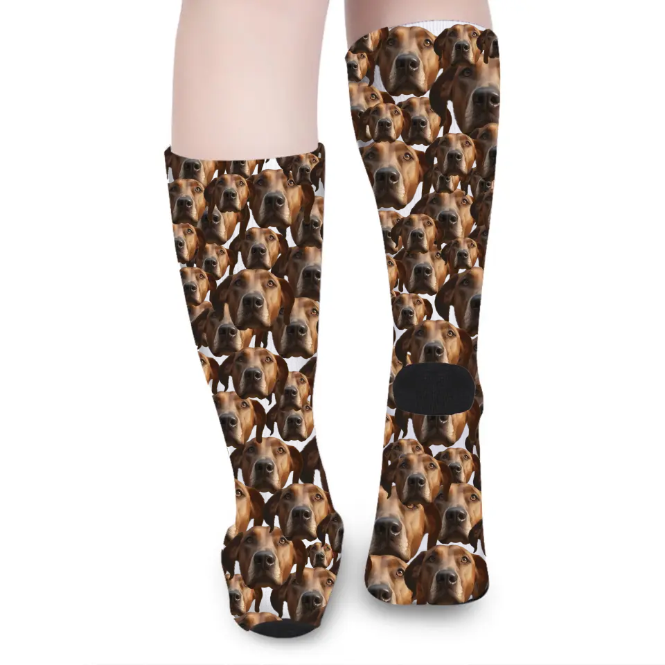 Live Customization Pet Facemash Socks