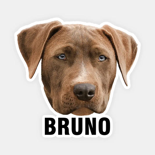 Doggovinci Personalized Pet Stickers