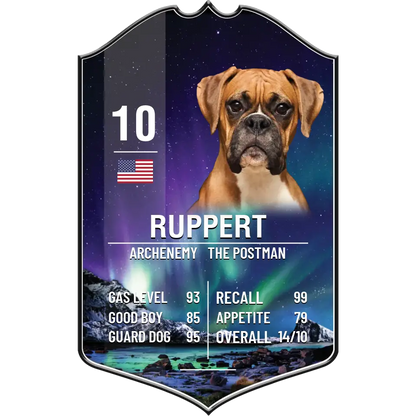 Pet Sport Card Plaque