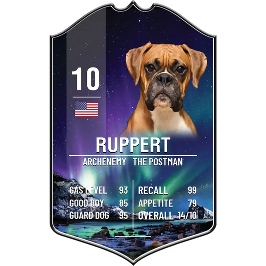 Pet Sport Card Plaque