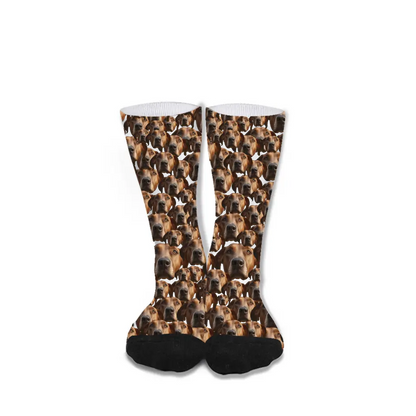 Live Customization Pet Facemash Socks