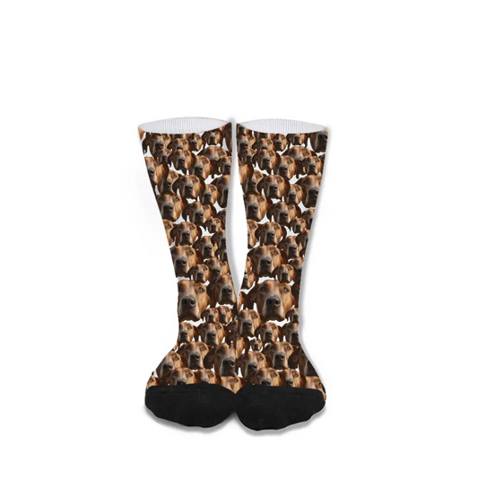 Live Customization Pet Facemash Socks