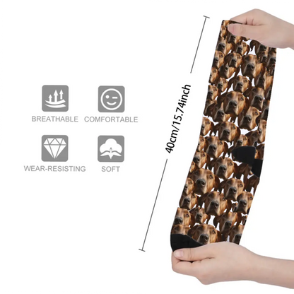 Live Customization Pet Facemash Socks